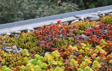 the cost of Frost Hill green roof installation