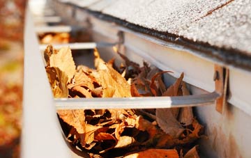 Frost Hill gutter cleaning companies