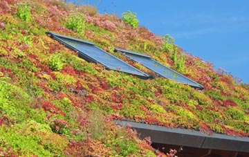 Frost Hill living roof systems