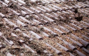 Frost Hill roof cleaning companies