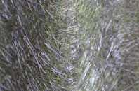 Frost Hill fibreglass roof work